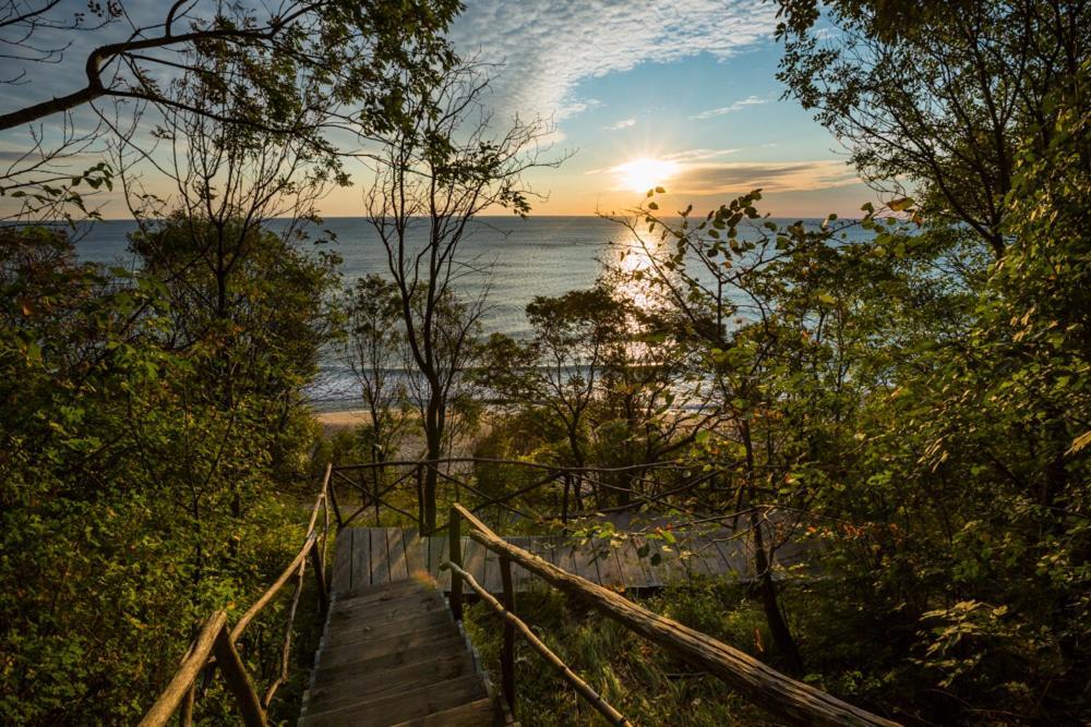 Vita Rama Holistic Hotel And Retreats - Vegan Full Board 오브조르 외부 사진