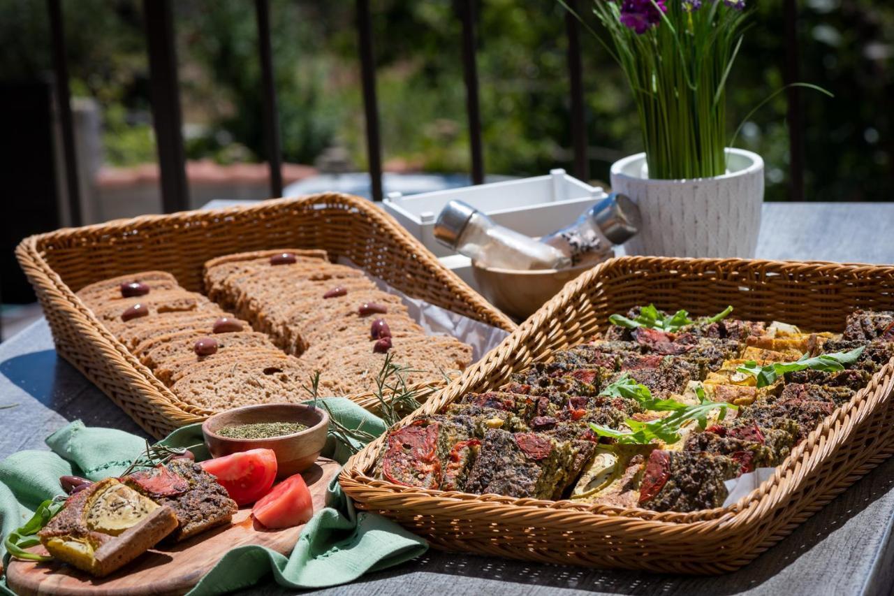 Vita Rama Holistic Hotel And Retreats - Vegan Full Board 오브조르 외부 사진